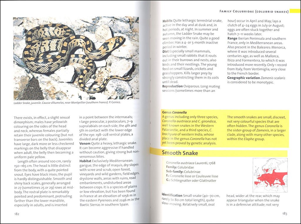 snakes of europe, north africa and the middle east