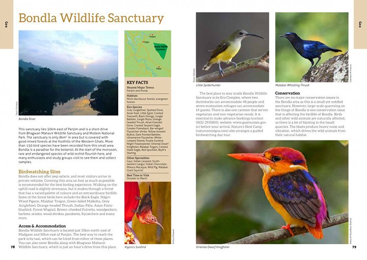 the 100 best birdwatching sites in india