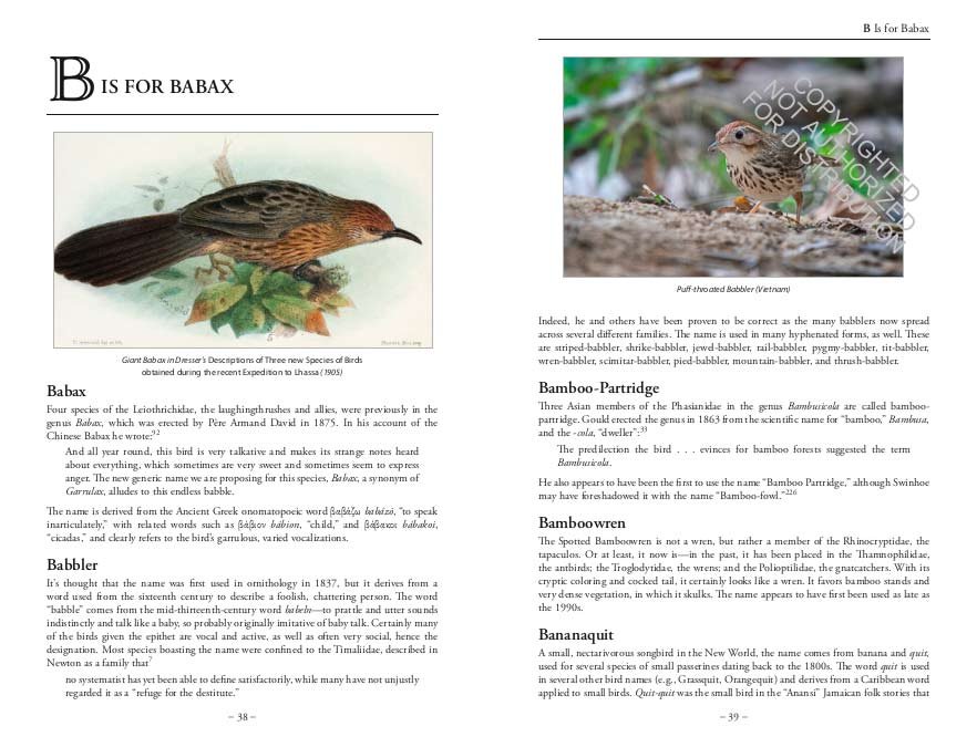 the bird name book