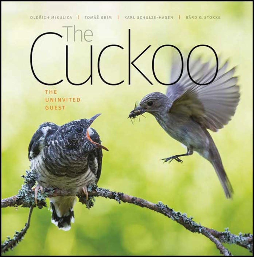the cuckoo: the uninvited guest