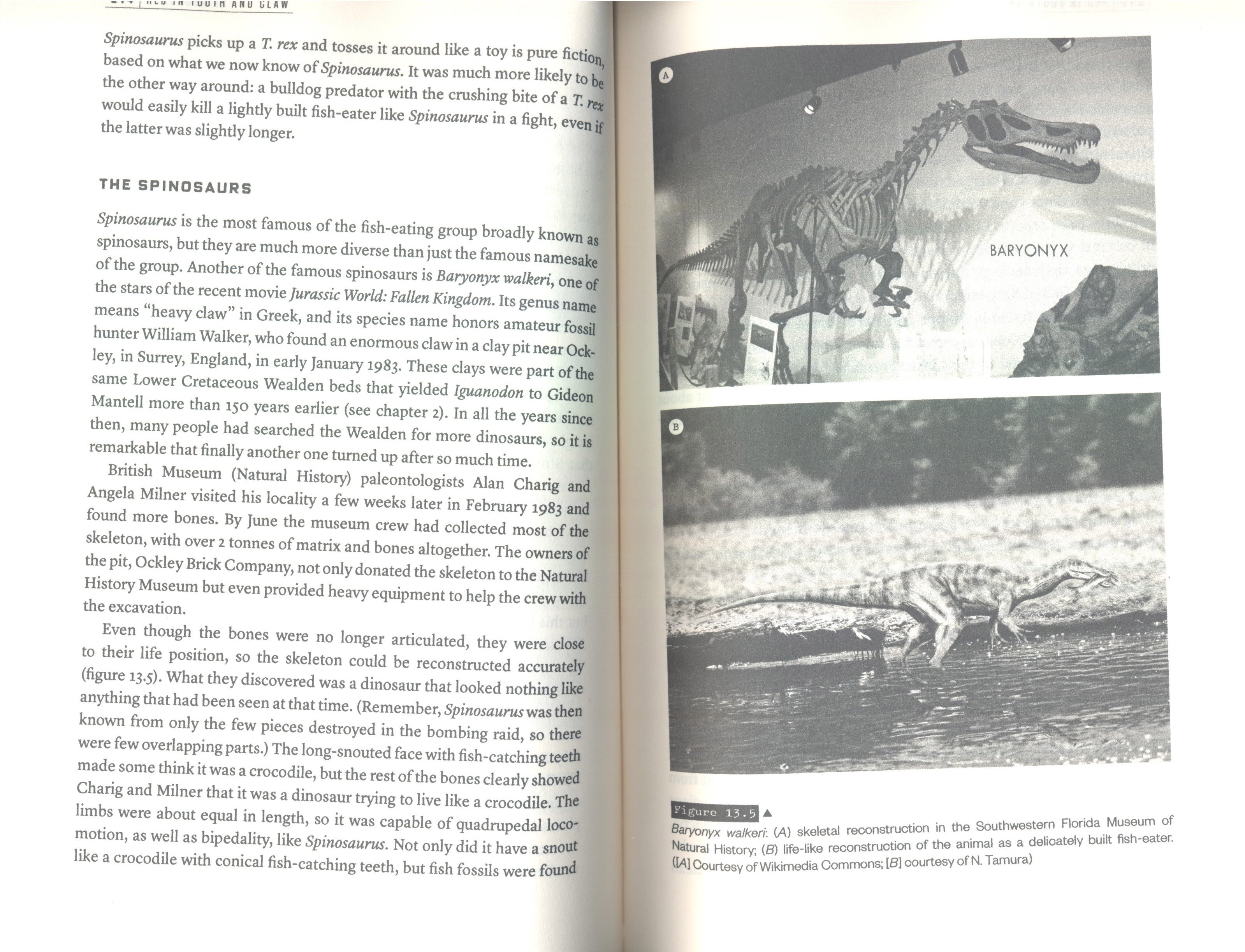 the history of the dinosaurs in 25 discoveries