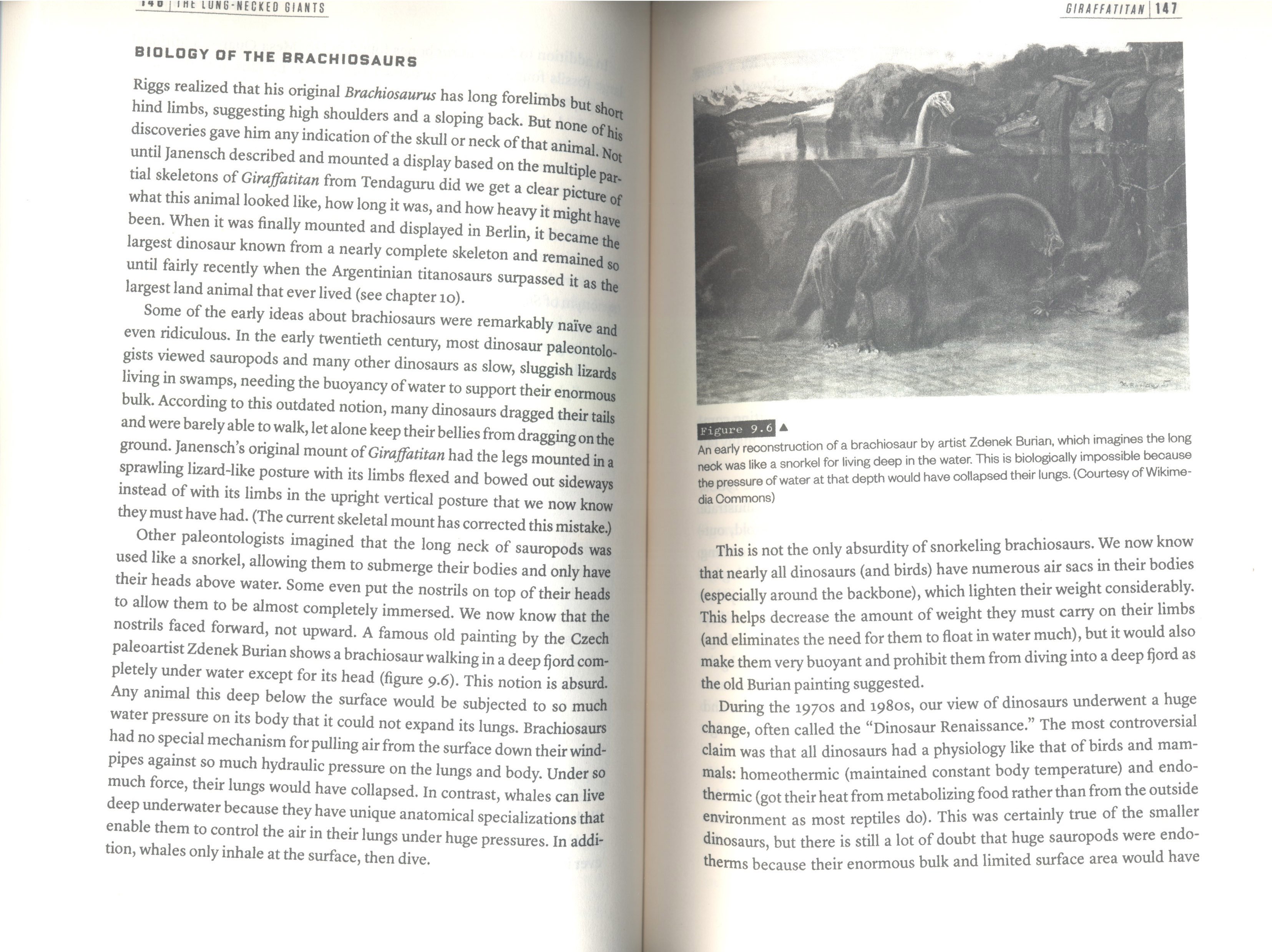 the history of the dinosaurs in 25 discoveries