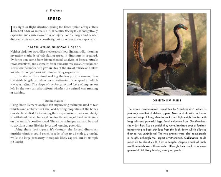 the little book of dinosaurs
