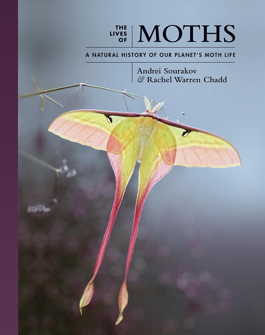 the lives of moths. a natural history of our planet's moth life