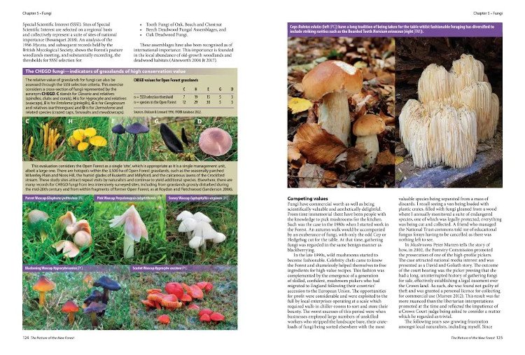 the nature of the new forest. celebrating the wildlife of a working common