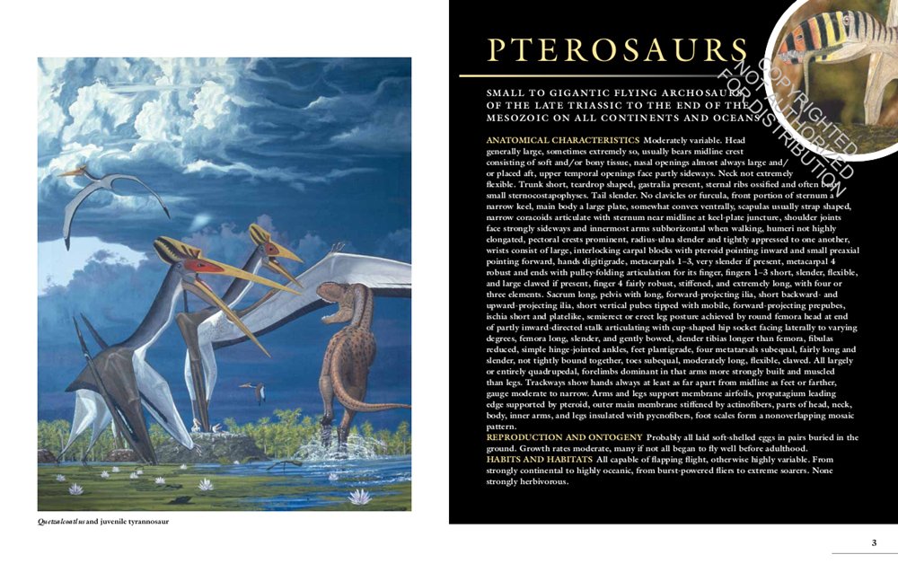 the princeton field guide to pterosaurs