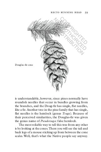 treepedia. a brief compendium of arboreal lore