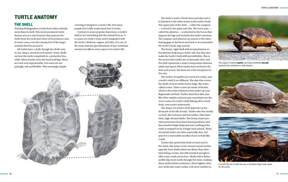 turtles of north america. an illustrated field guide to the turtles of the continental united states and canada