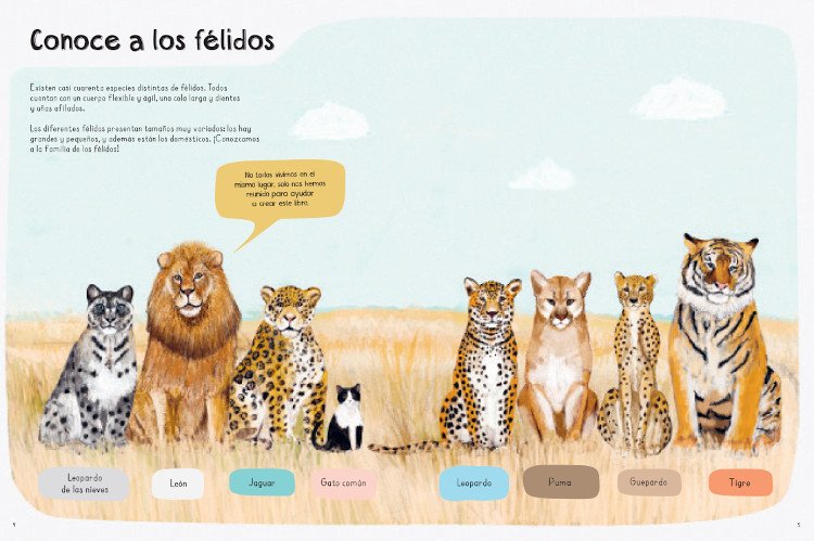 un libro de gatos