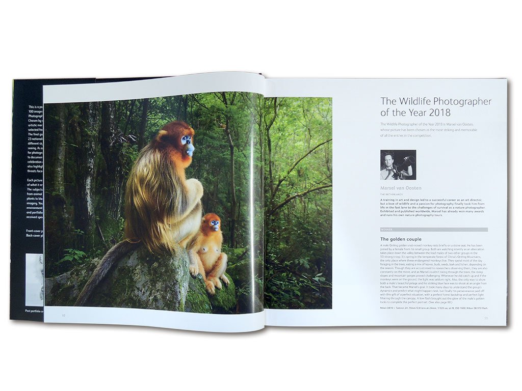 wildlife photographer of the year. portfolio 28