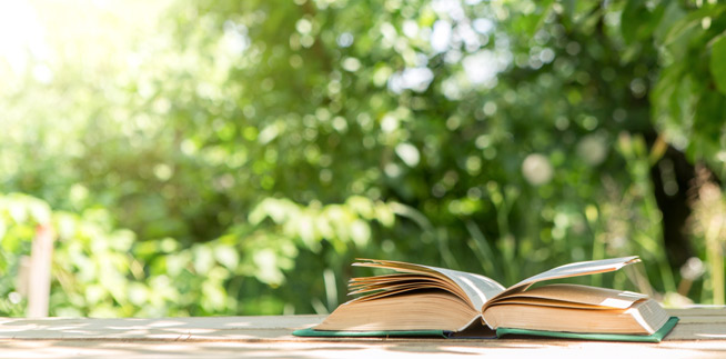 SELECCIN DE LIBROS