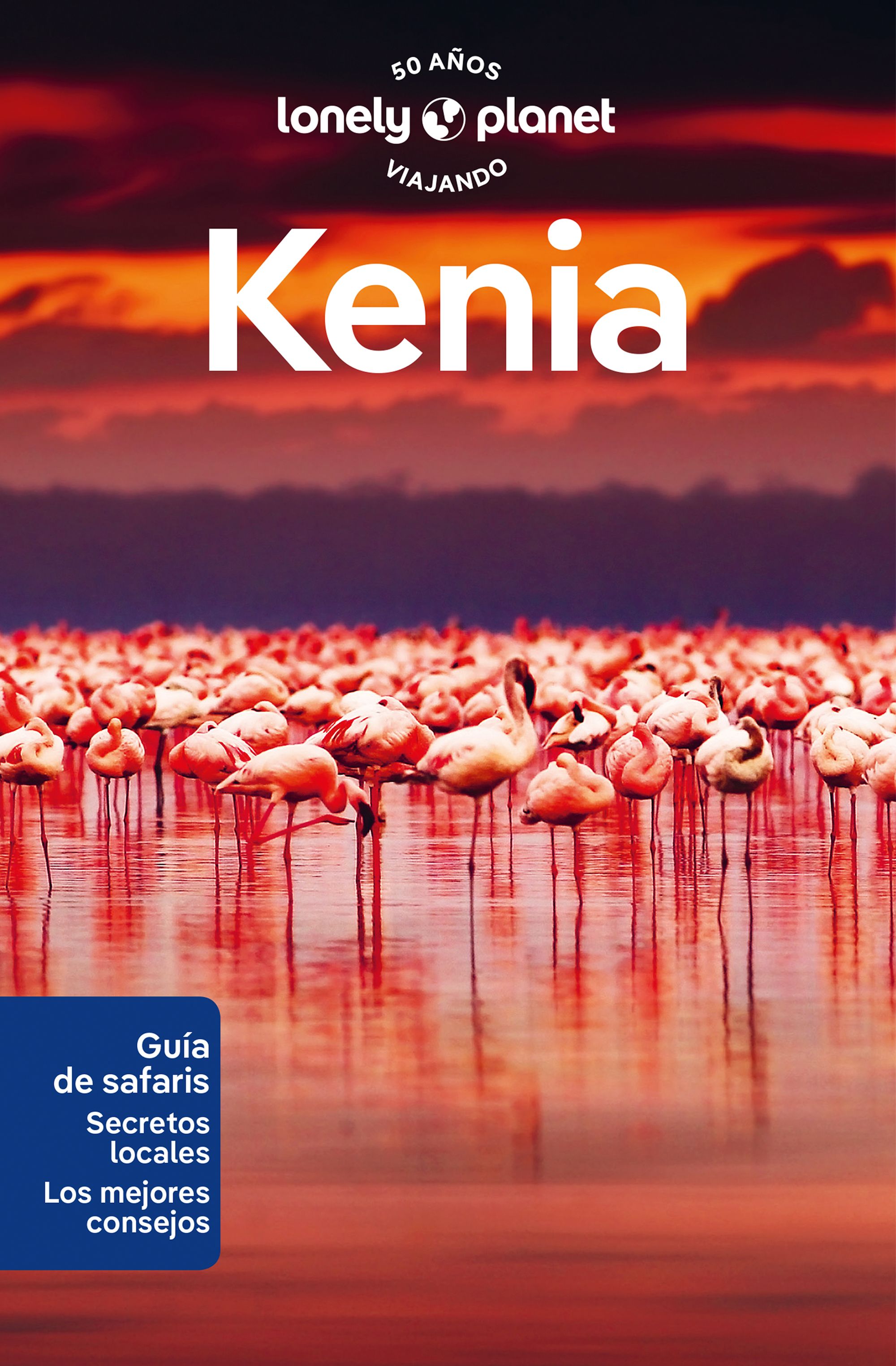 Texto alternativo