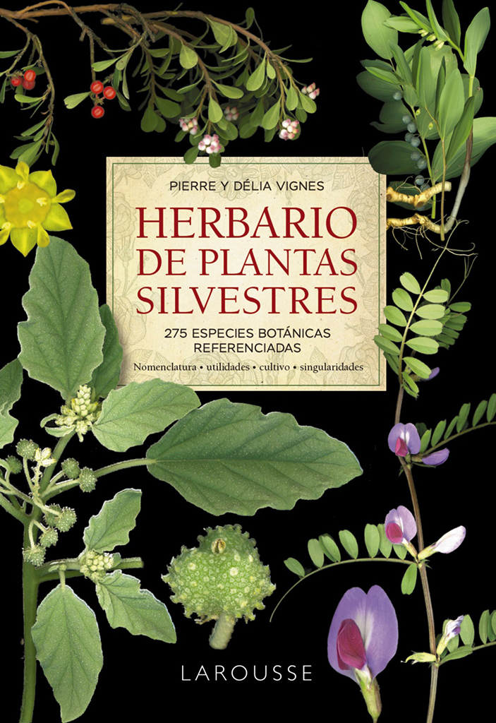 Asalto Por lo tanto años HERBARIO DE PLANTAS SILVESTRES. 275 ESPECIES BOTÁNICAS REFERENCIADAS.  NOMENCLATURA, UTILIDADES, DESCRIPCIÓN, SINGULARIDADES [L0018960] - 29,90€ :  , Oryx. La tienda del amante de la naturaleza