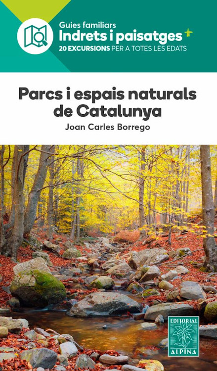 Texto alternativo