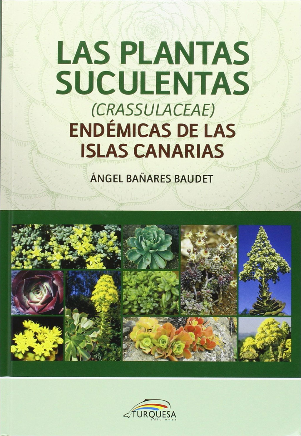 LAS PLANTAS SUCULENTAS (CRASSULACEAE) ENDÉMICAS DE LAS ISLAS CANARIAS  [L0024854] - 32,00€ : , Oryx. La tienda del amante de la naturaleza