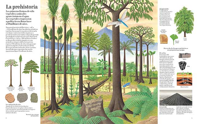 GRAN LIBRO DEL ÁRBOL Y EL BOSQUE [L0029855] - 19,00€ : , Oryx. La tienda del  amante de la naturaleza