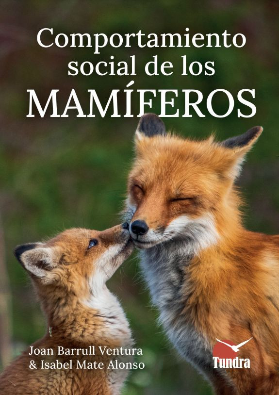 Texto alternativo