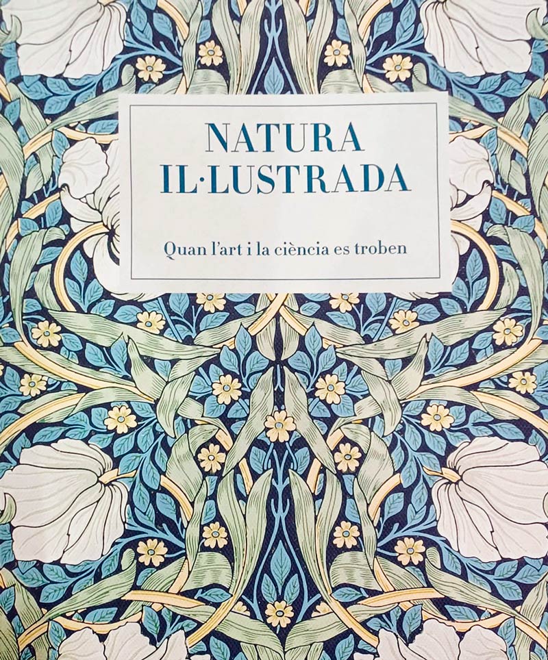 Texto alternativo