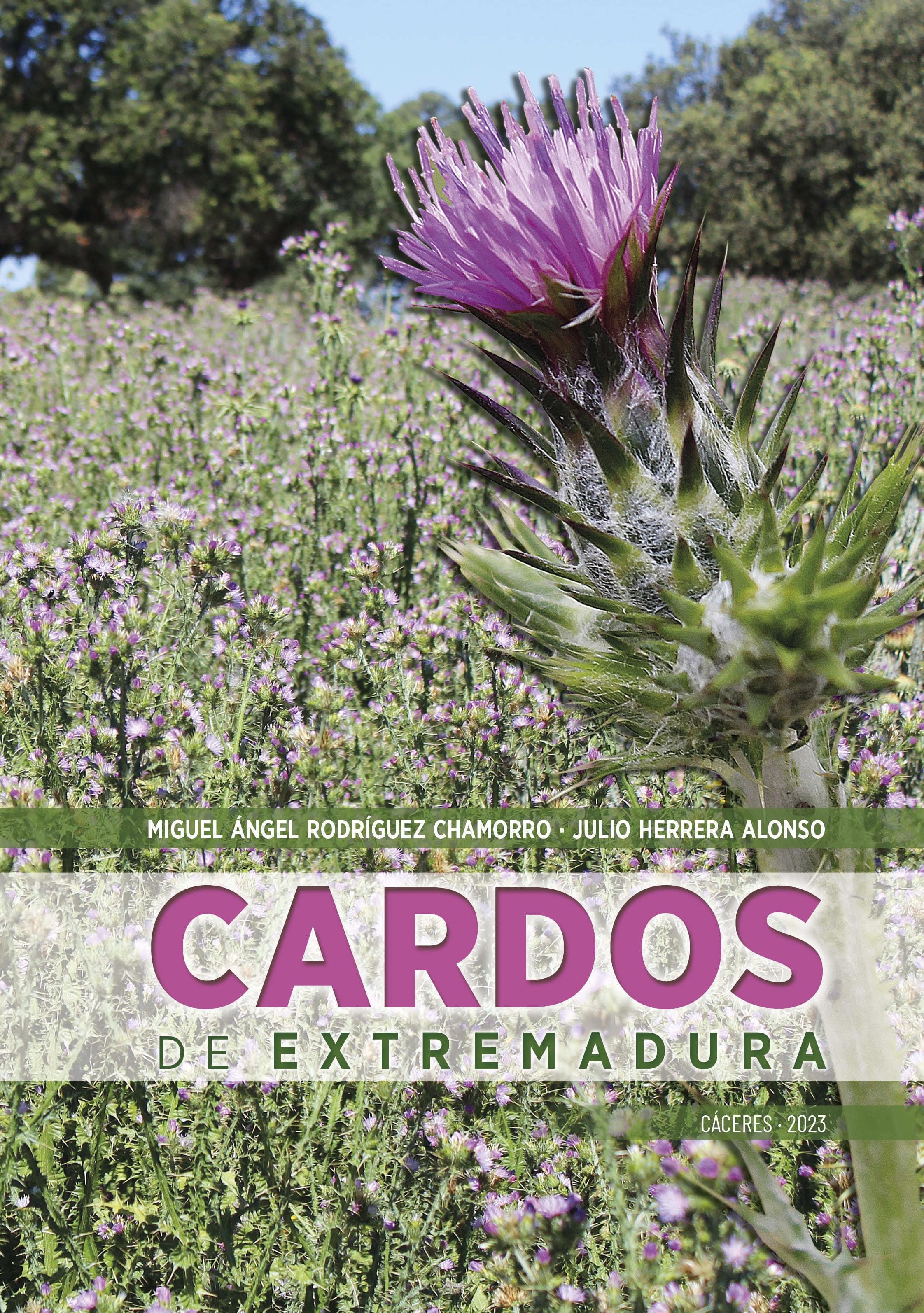 Texto alternativo