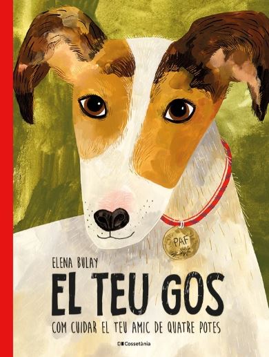 Texto alternativo