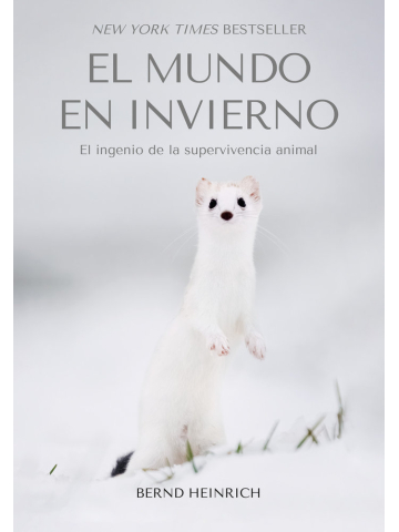 Texto alternativo