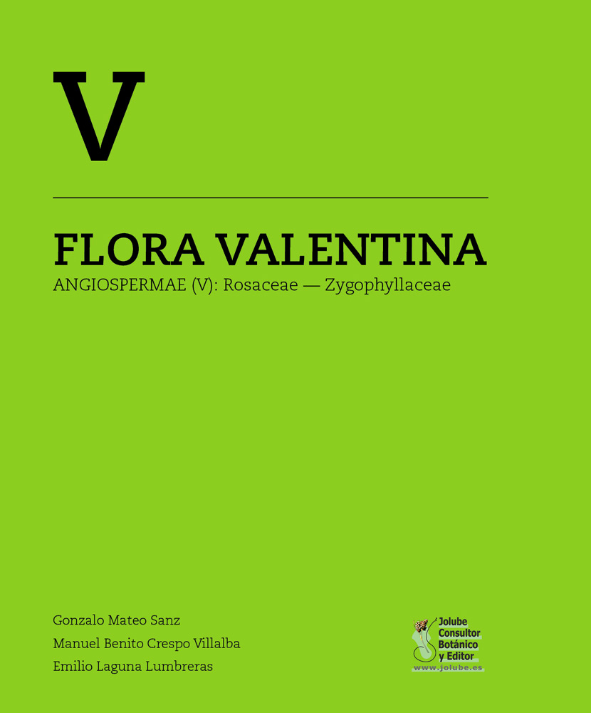 Texto alternativo