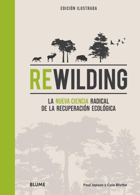 Texto alternativo