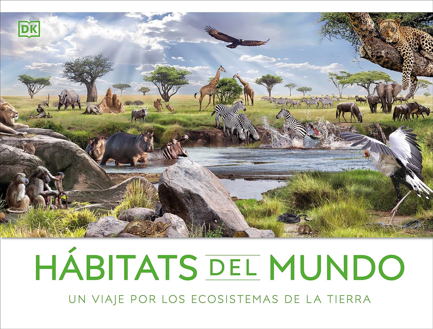 Texto alternativo
