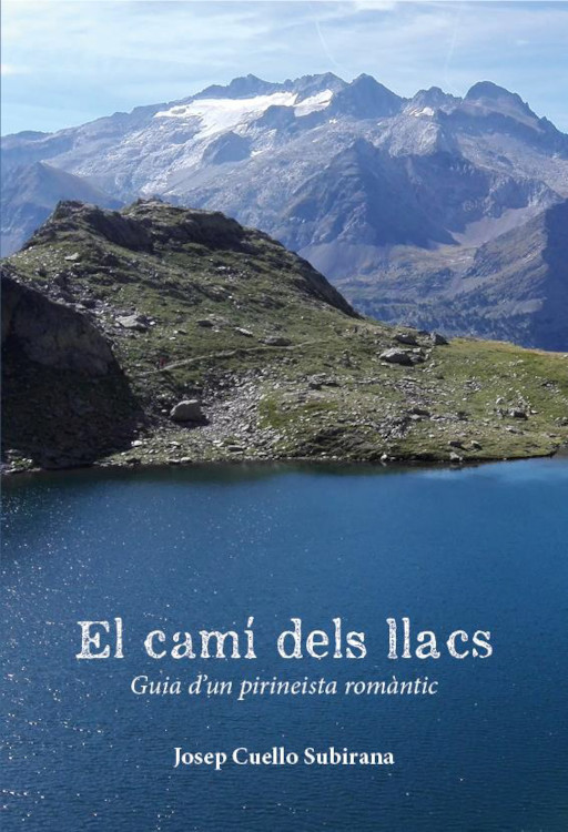 Texto alternativo