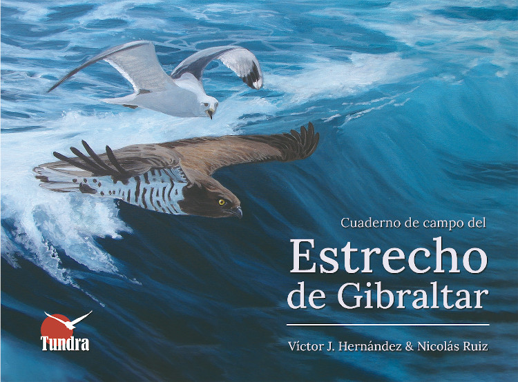 Texto alternativo
