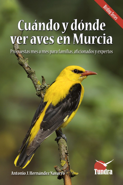 Texto alternativo