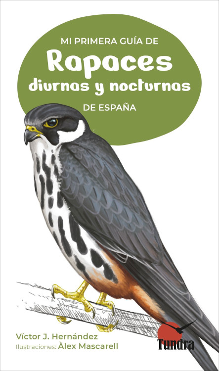 Texto alternativo