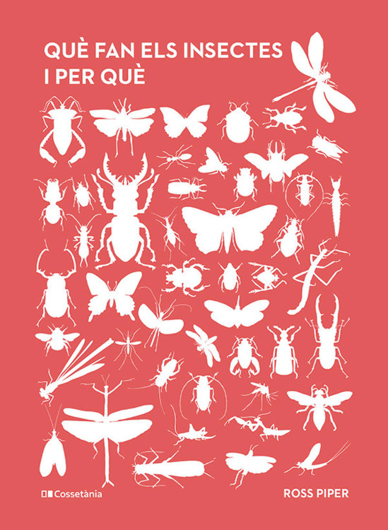 Texto alternativo