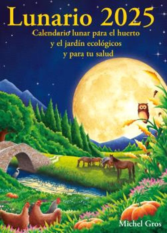 Texto alternativo