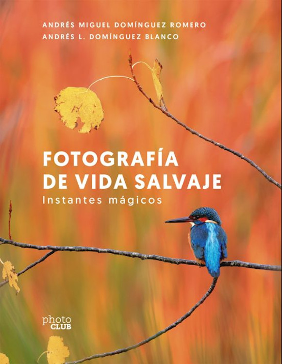 Texto alternativo