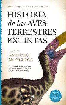 Texto alternativo