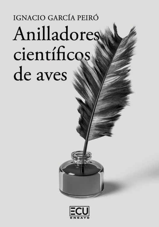 Texto alternativo