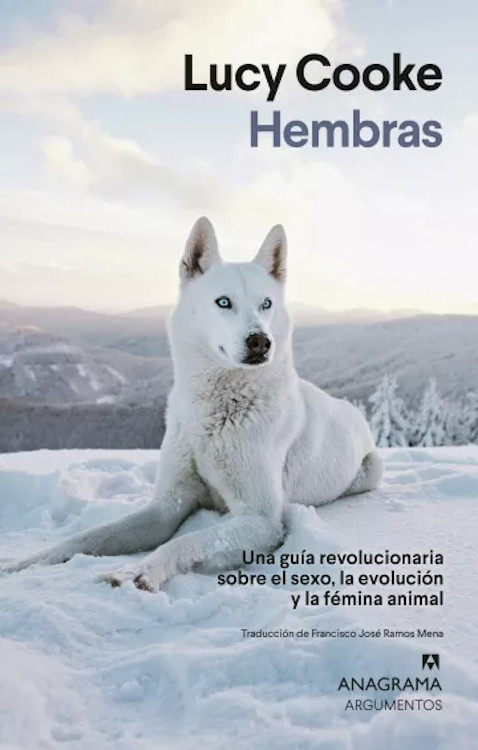 Texto alternativo