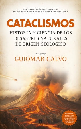 Texto alternativo
