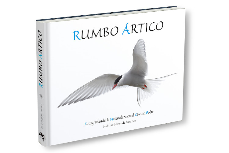 Texto alternativo