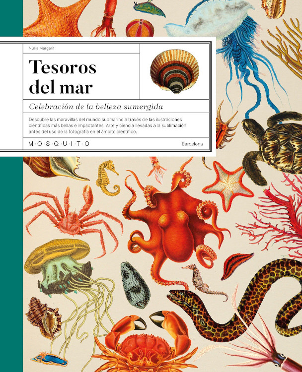 Texto alternativo