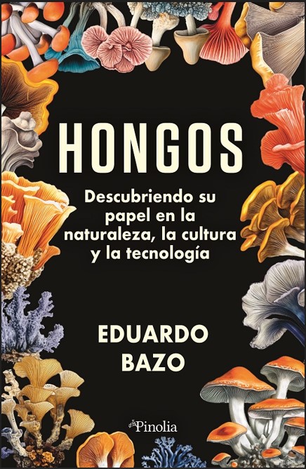 Texto alternativo