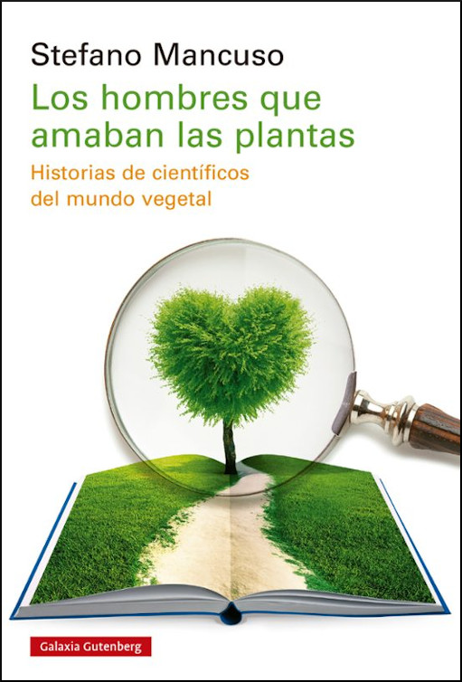 Texto alternativo