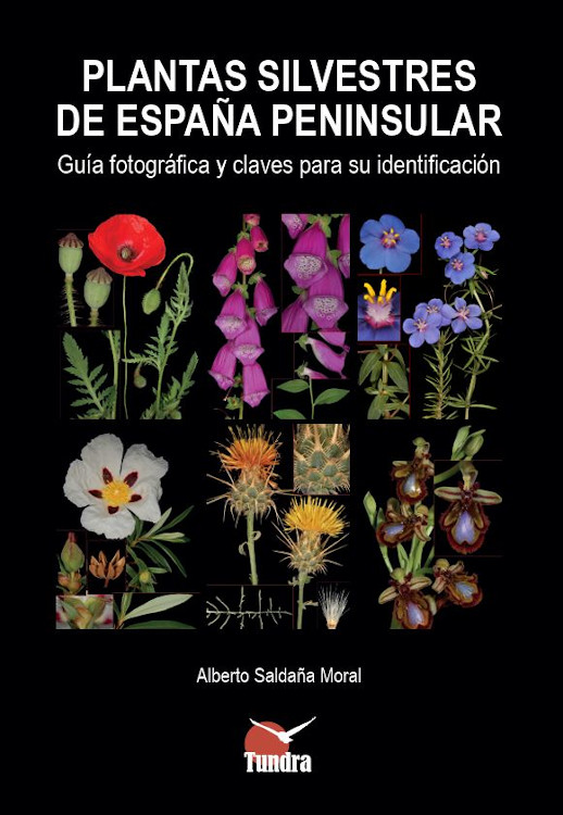 Texto alternativo