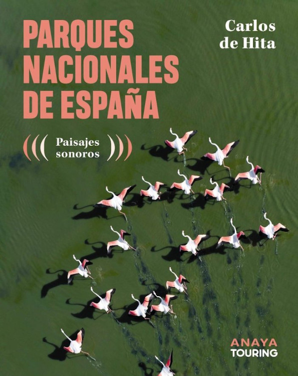 Texto alternativo