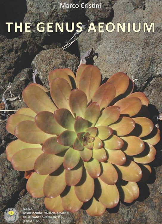 Texto alternativo