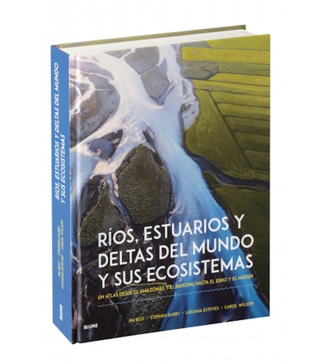 Texto alternativo