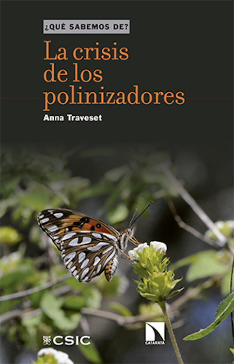 Texto alternativo