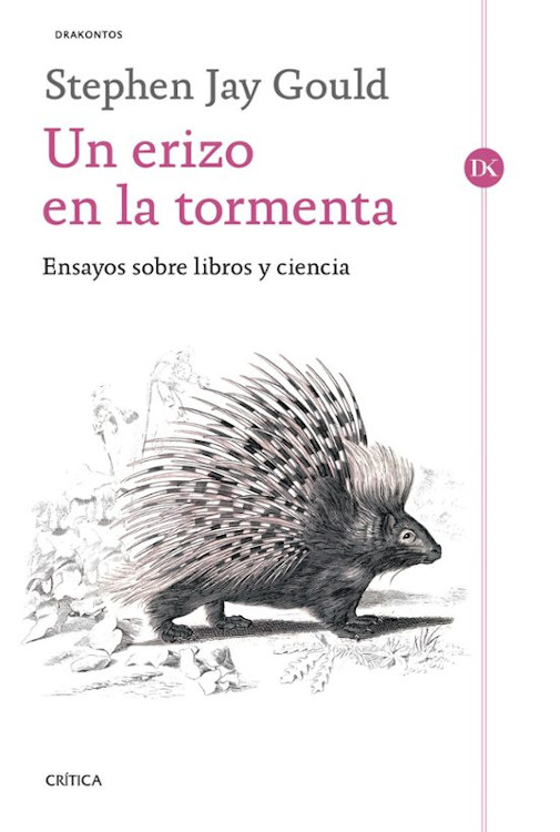 Texto alternativo