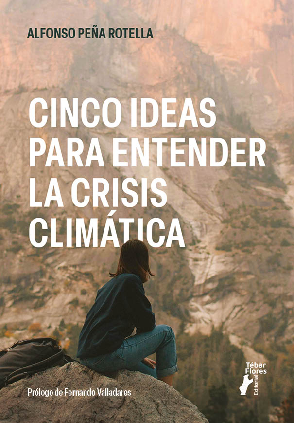 Texto alternativo